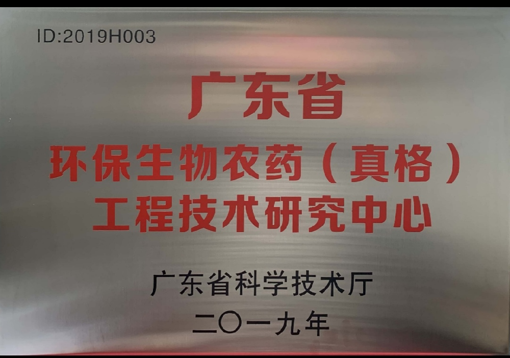 金榜提名，載譽歸來