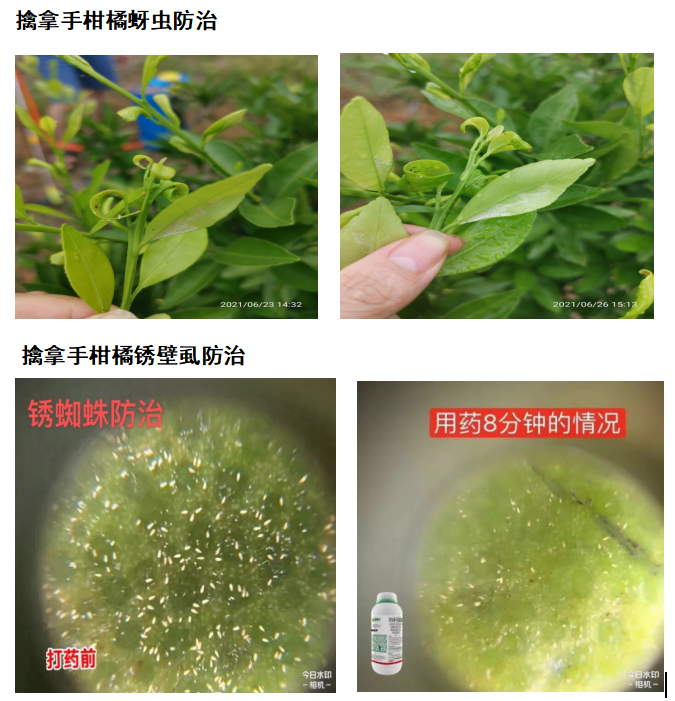 針對這個可控難治的病，我們有高招！